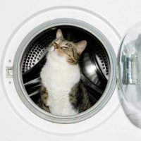 Илья Пыриков