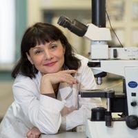 лейла лукманова