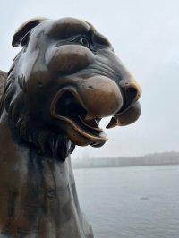 Марина Сидорова