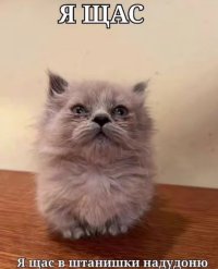 Андрей Васильев