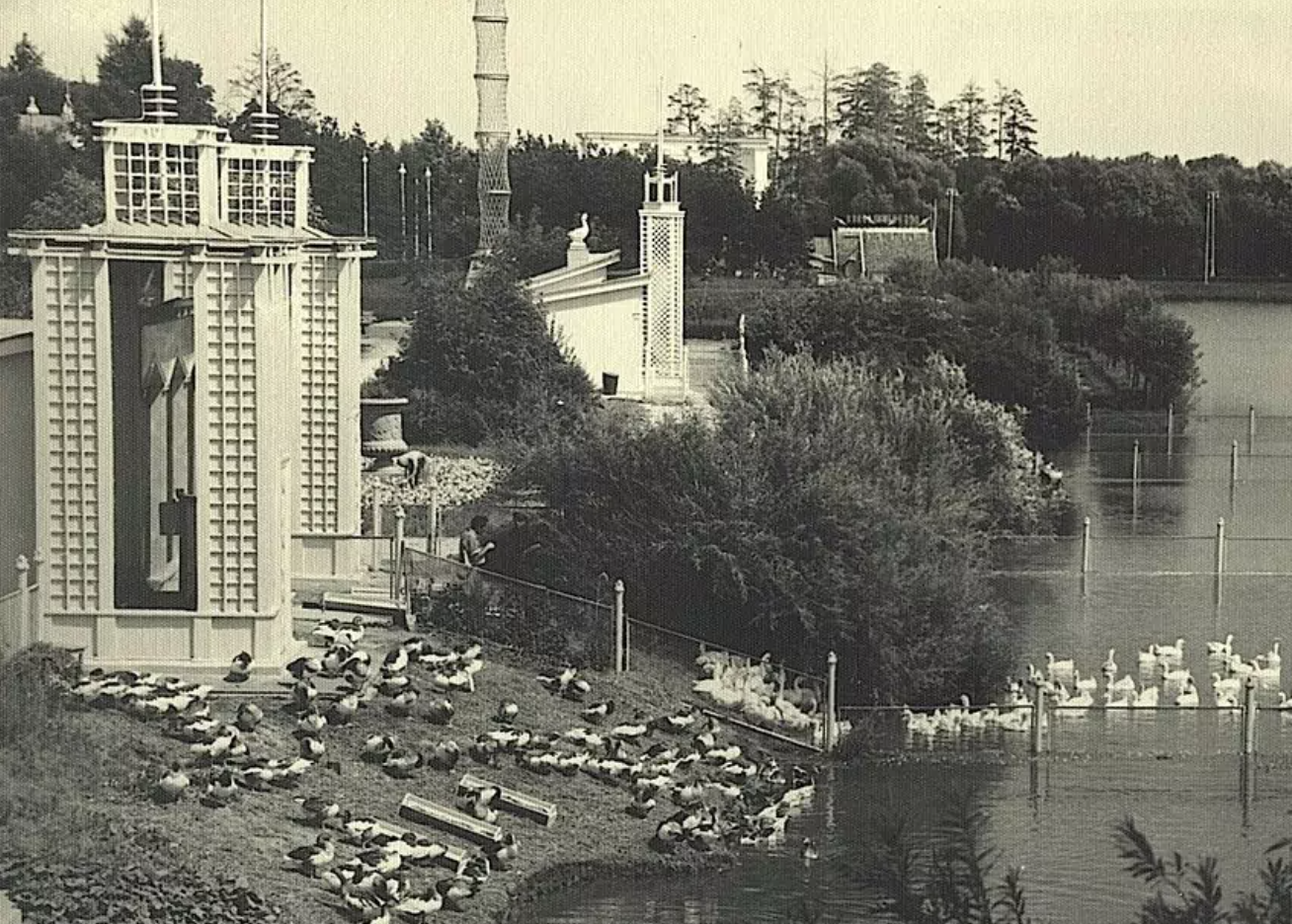 Фото 1954 Год