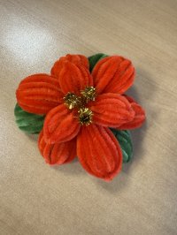 Евгения Замятина