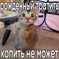 Никич Шешть