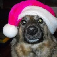 Montibern Нескажу