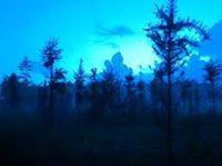 Горенский Лес