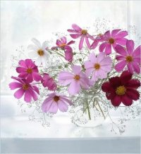 галина полякова
