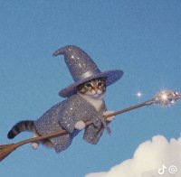 Екатерина Сизых