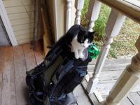 Денис Замараев