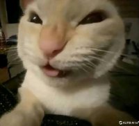 Софья Ефимова