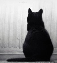Дмитрий Малеев