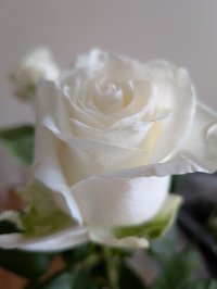 Оксана Кузнецова