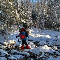 Мария Шеломенцева