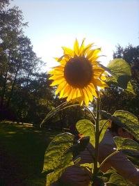 Юлия Худякова