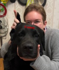 Александра Иванчура