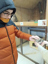 Константин Александров