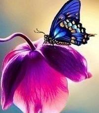 Светлана Зайцева