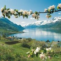 Аня Костина