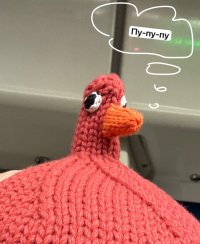 Наталья Пирогова